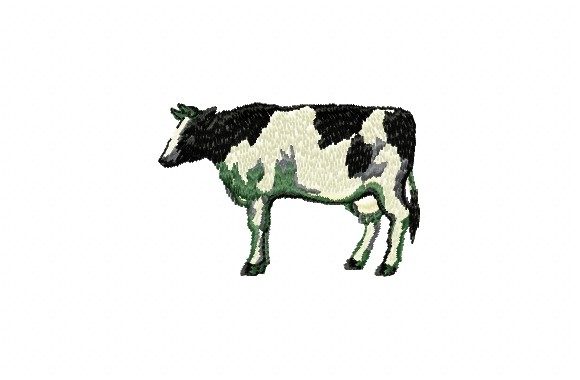 Black and White Cow Embroidery Review