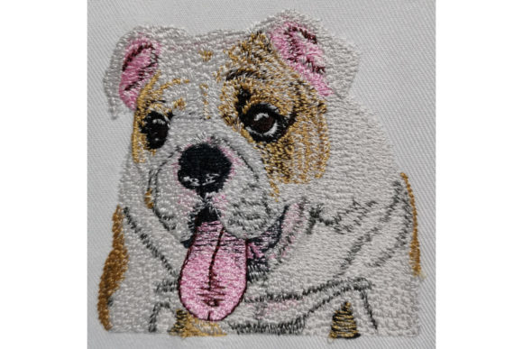 English Bulldog Review for Boutique Apparel