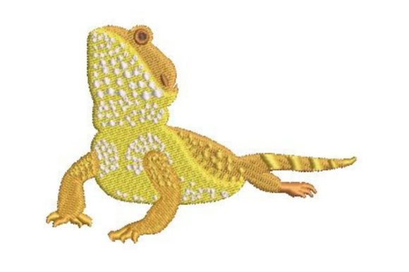 Reviewing Pet Lizard Bearded Dragon
